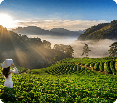 Valparai